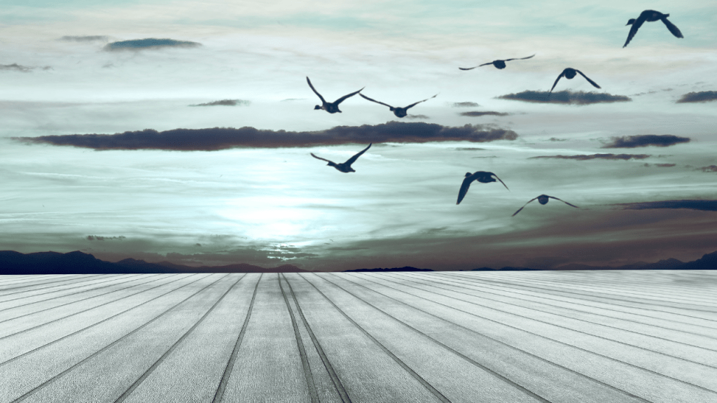 A serene landscape featuring a flat surface with lines, set against a sky filled with clouds and birds flying at sunset.