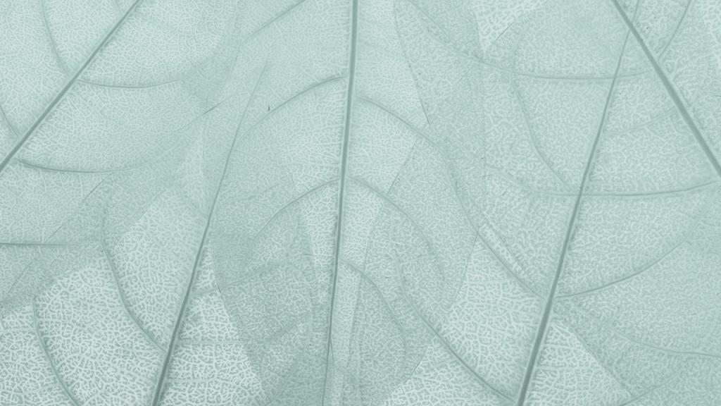 Close-up view of overlapping light blue leaves with intricate vein patterns.